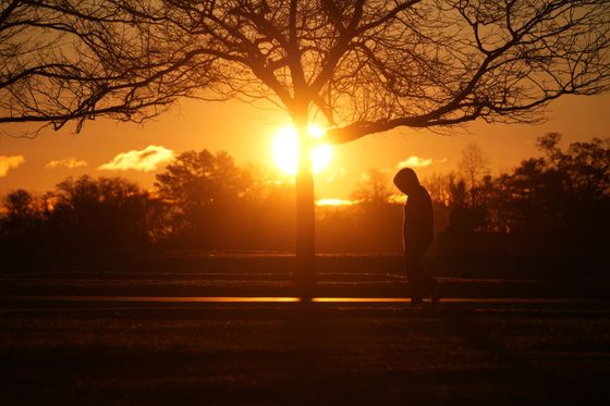 Silhouette of a person walking under a tree at dusk, photo by Cara Denison on Pexels