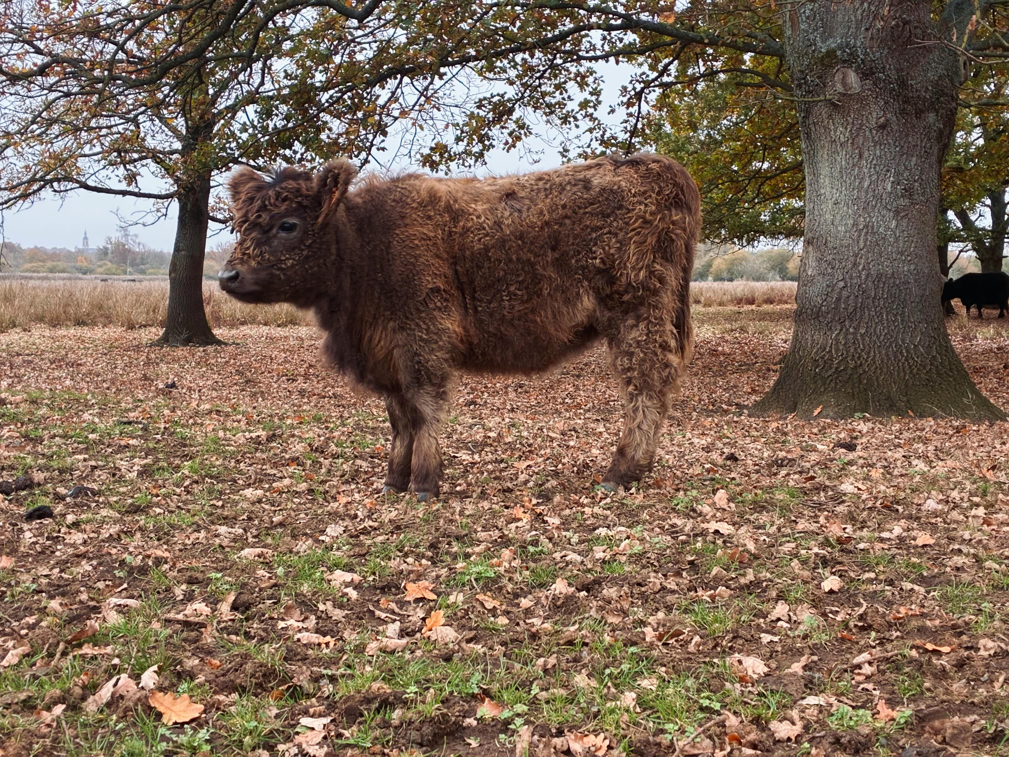 峨眉十二寮休閒農業區慢漫生活節 開啟自然美景與悠閒體驗