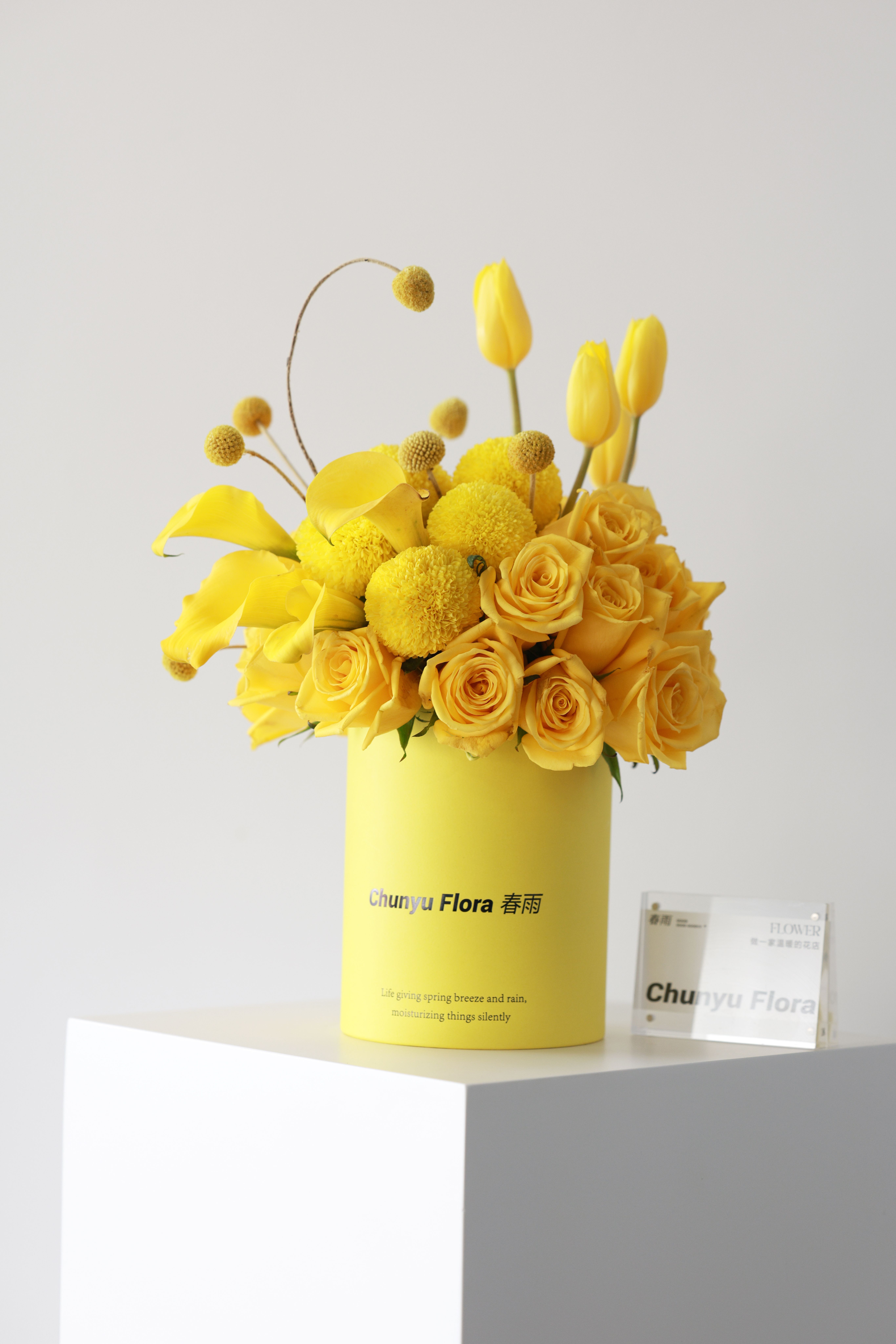 Monochromatic+Box+Design Photos, Download The BEST Free Monochromatic ...