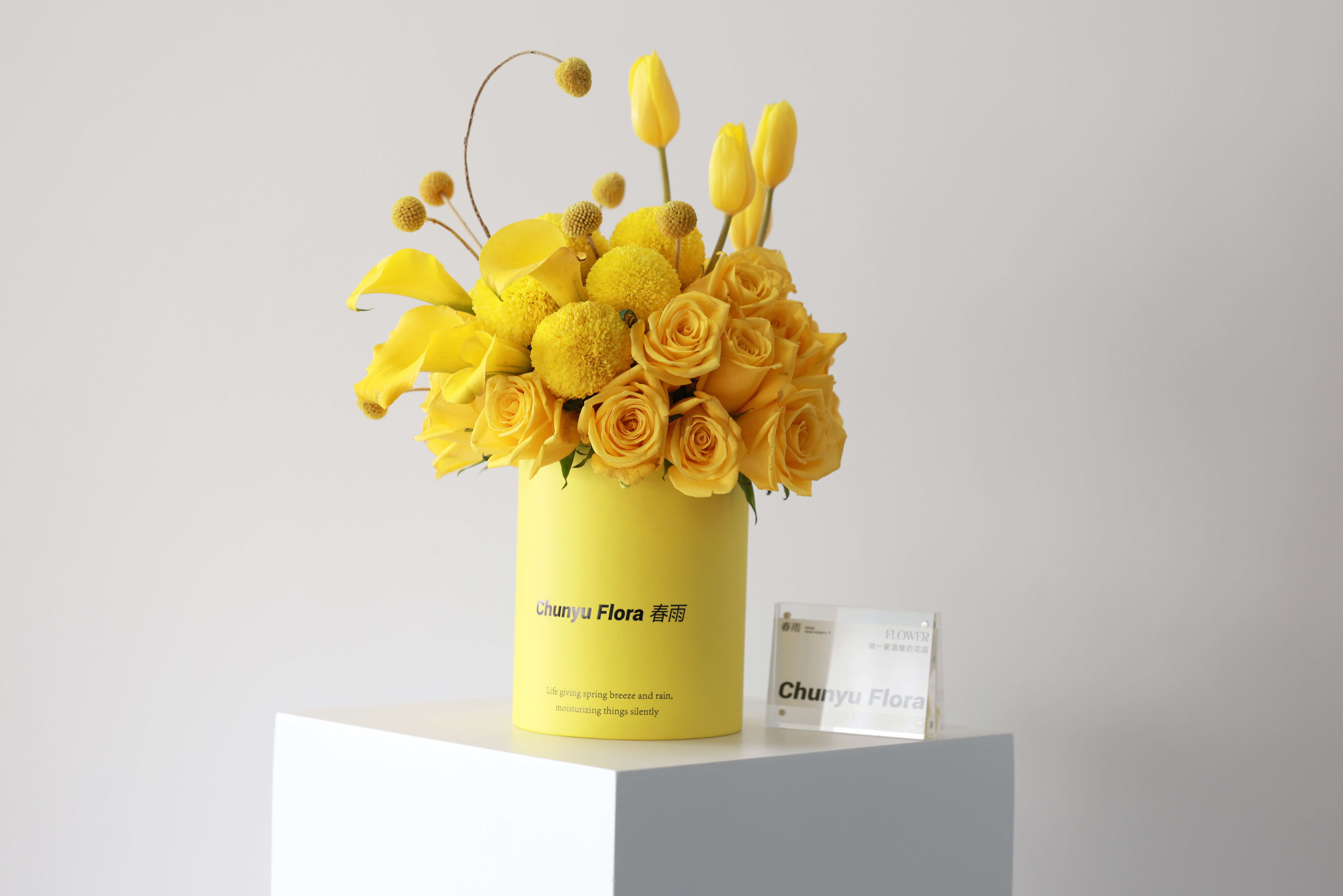 Monochromatic+Box+Design Photos, Download The BEST Free Monochromatic ...