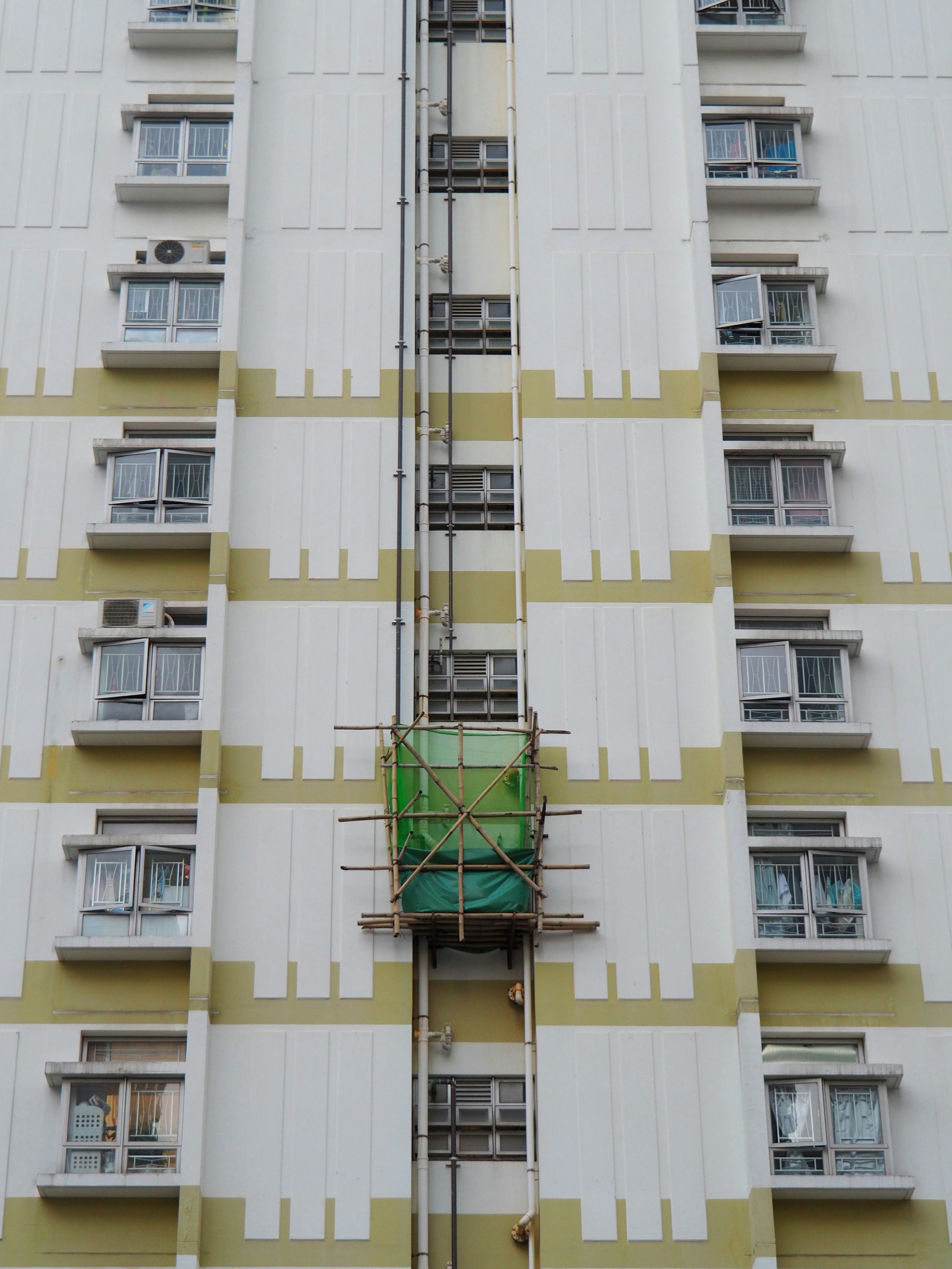 terry narcissan tsui