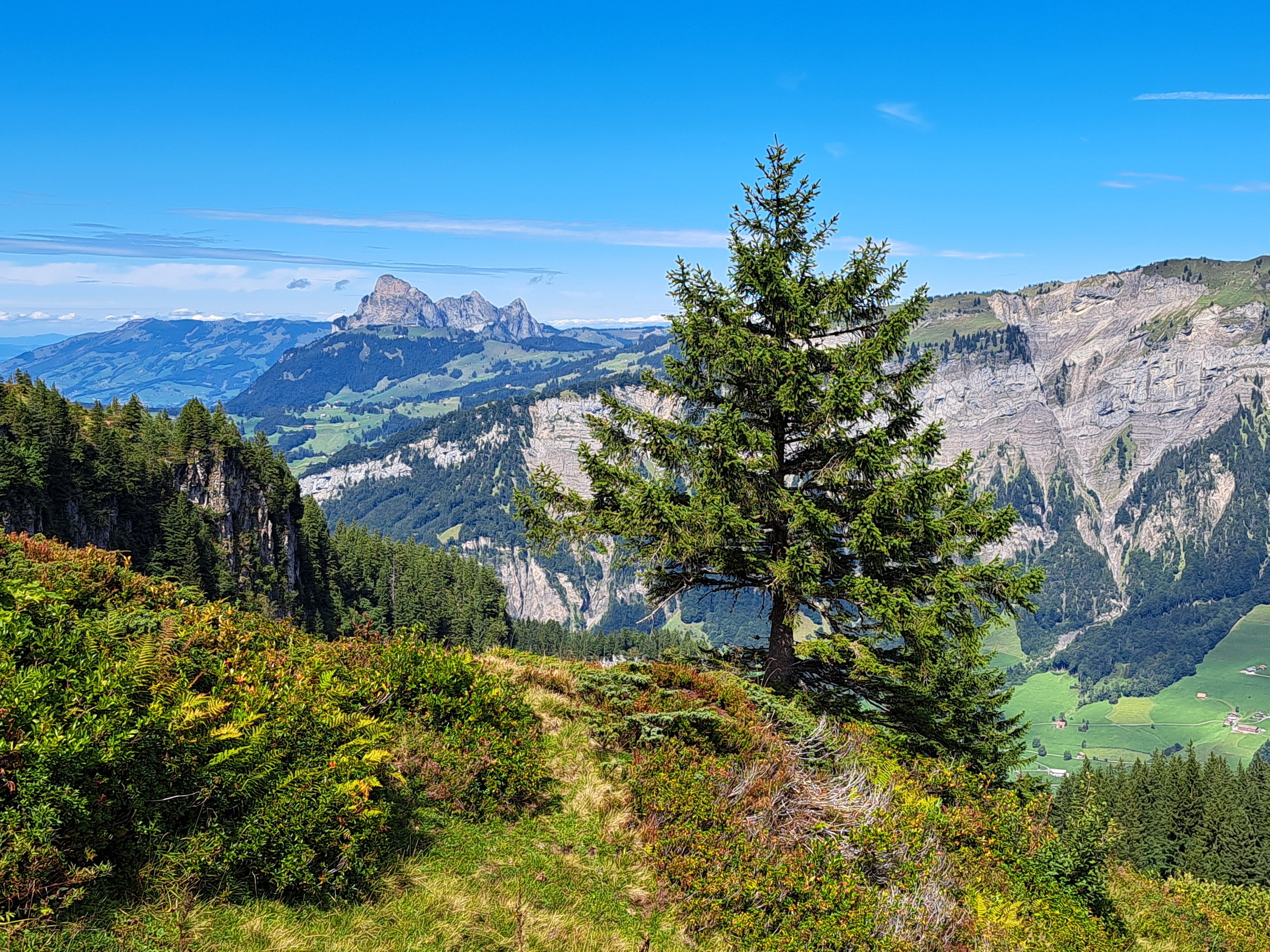 Majestic Mountain Landscape with Lone Tree · Free Stock Photo