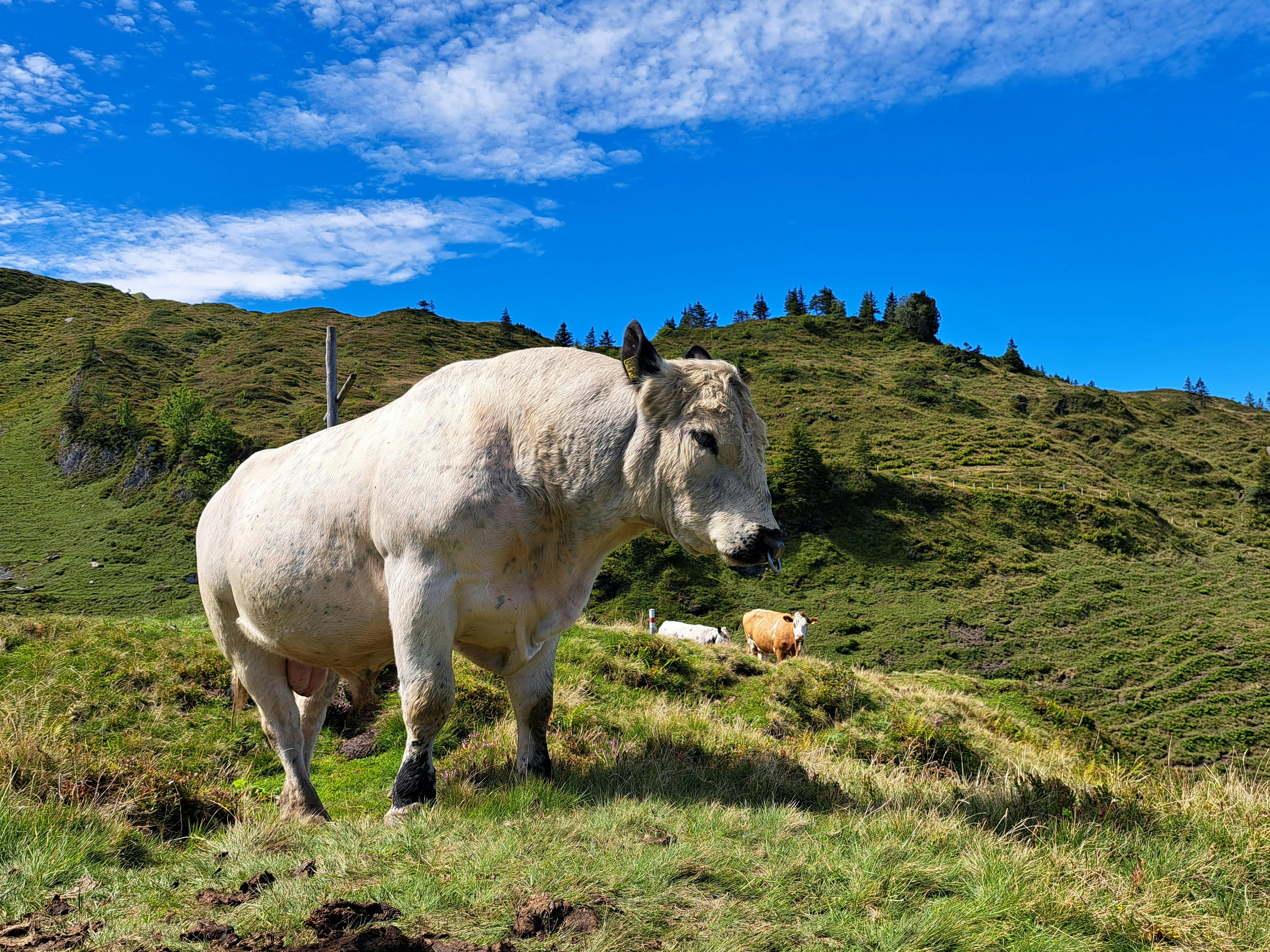 峨眉十二寮休閒農業區慢漫生活節 開啟自然美景與悠閒體驗
