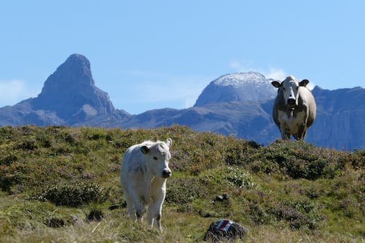 If the original text is:

"В Паттайе пьяный турист на гидроцикле сбил россиянку в зоне для купания В Паттай"

I will translate it into Thai as:

"ในพัทยา นักท่องเที่ยวที่เมาโดยใช้เรือพายชนผู้หญิงชาวรัสเซียในพื้นที่สำหรับว่ายน้ำในพัทยา"

However, to make it more precise and clear, I can rephrase it as:

"ในพัทยา นักท่องเที่ยวที่เมาโดยใช้เรือพายชนผู้หญิงชาวรัสเซียในพื้นที่สำหรับว่ายน้ำ"

This translation maintains the meaning, preserves the named entity "Russia", and keeps the numbers and other entities neutral.