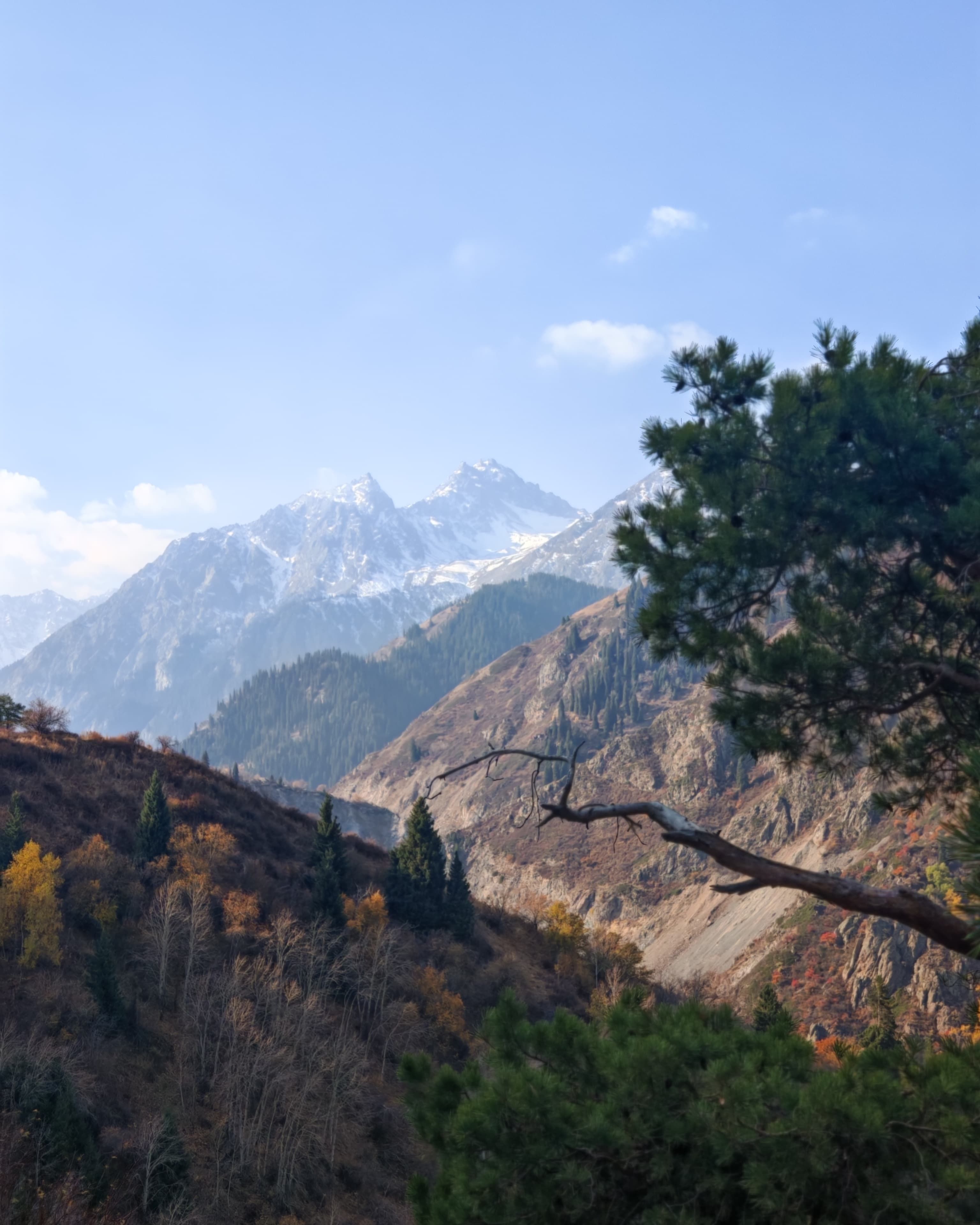Scenic Mountain View with Autumn Foliage · Free Stock Photo