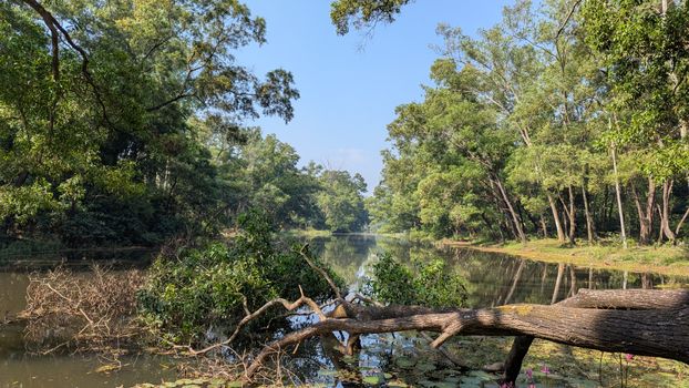 Day Trip in Gazipur