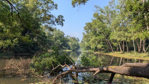Free Tranquil riverside view surrounded by lush greenery in Gazipur, Bangladesh, under clear skies. Stock Photo