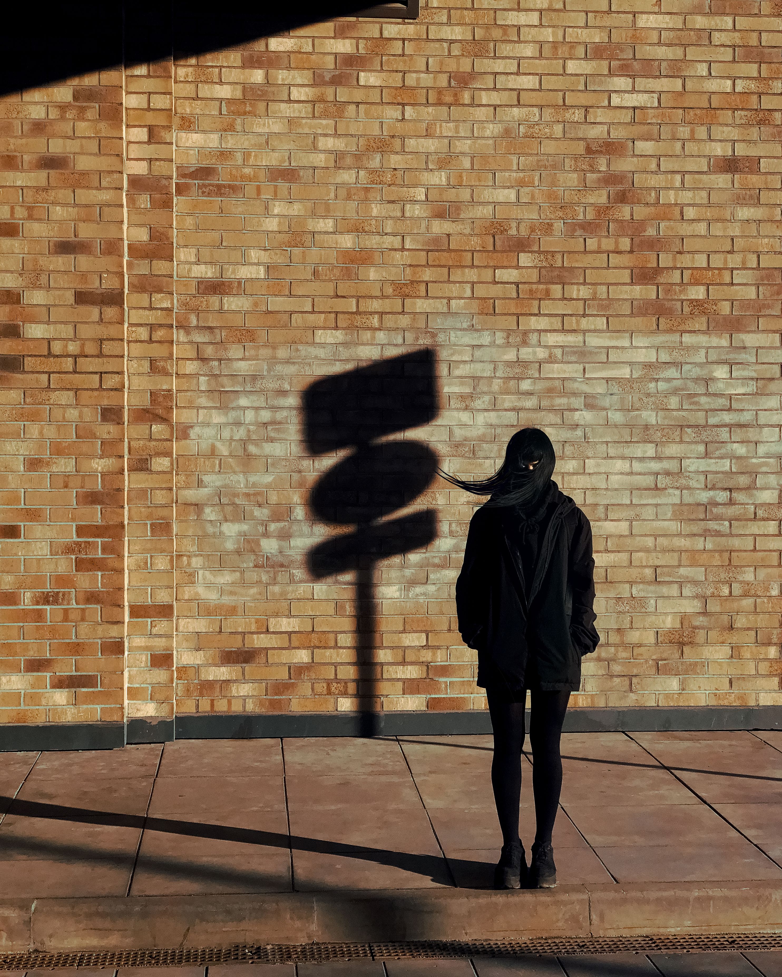 Silhouette of Woman Against Brick Wall with Shadow · Free Stock Photo