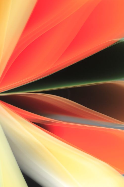 Free Dynamic abstract image featuring vibrant waves of color in an artistic composition. Stock Photo