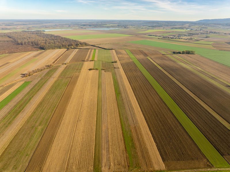 Strips of farmland running to the horizon, seen from the air — photo by Vladimir Srajber on Pexels