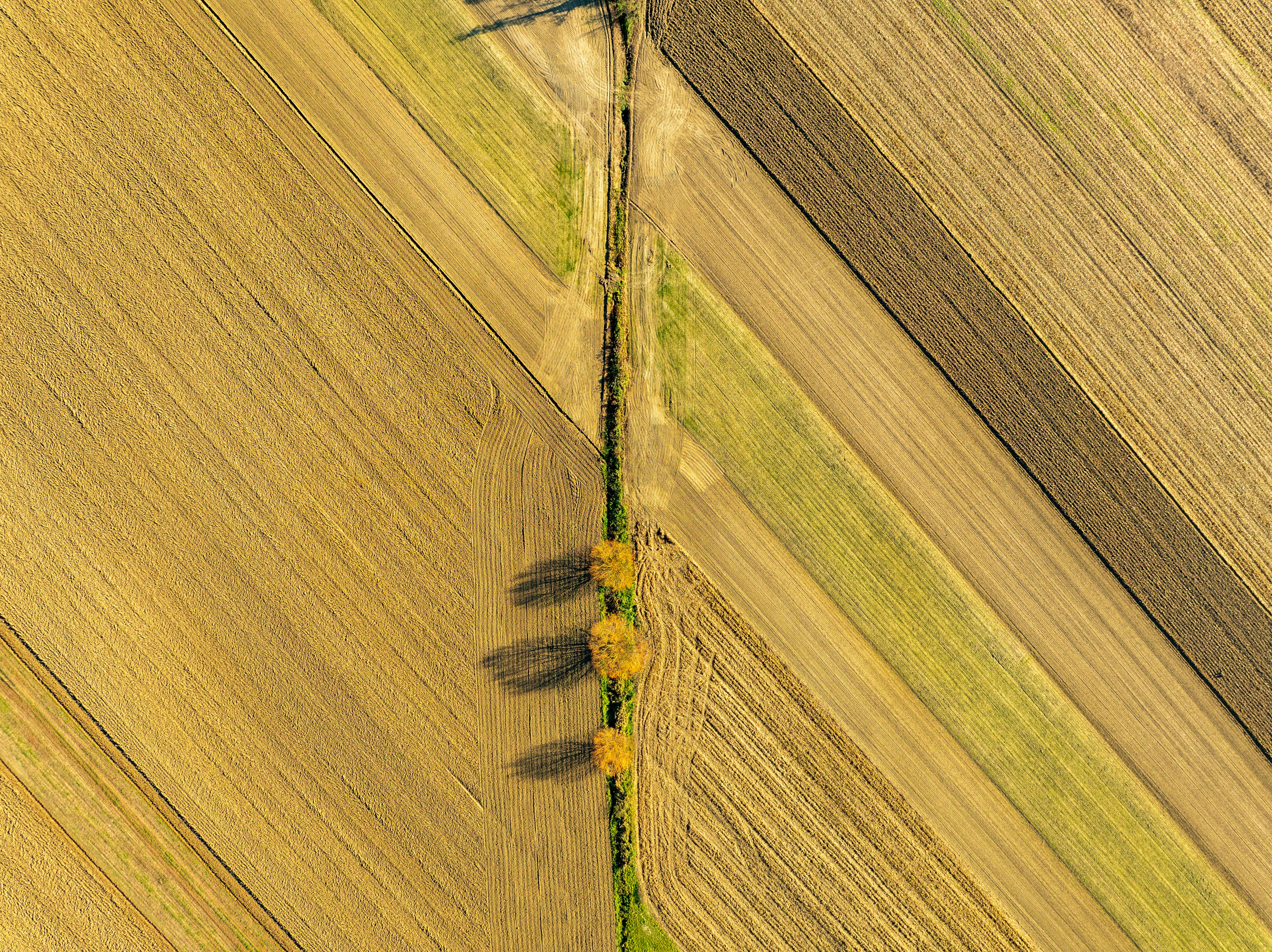 Gratis Luftfoto av geometriske jordbruksområder i Garešnica i Kroatia, som viser frem jordbrukets skjønnhet ovenfra. Arkivbilde