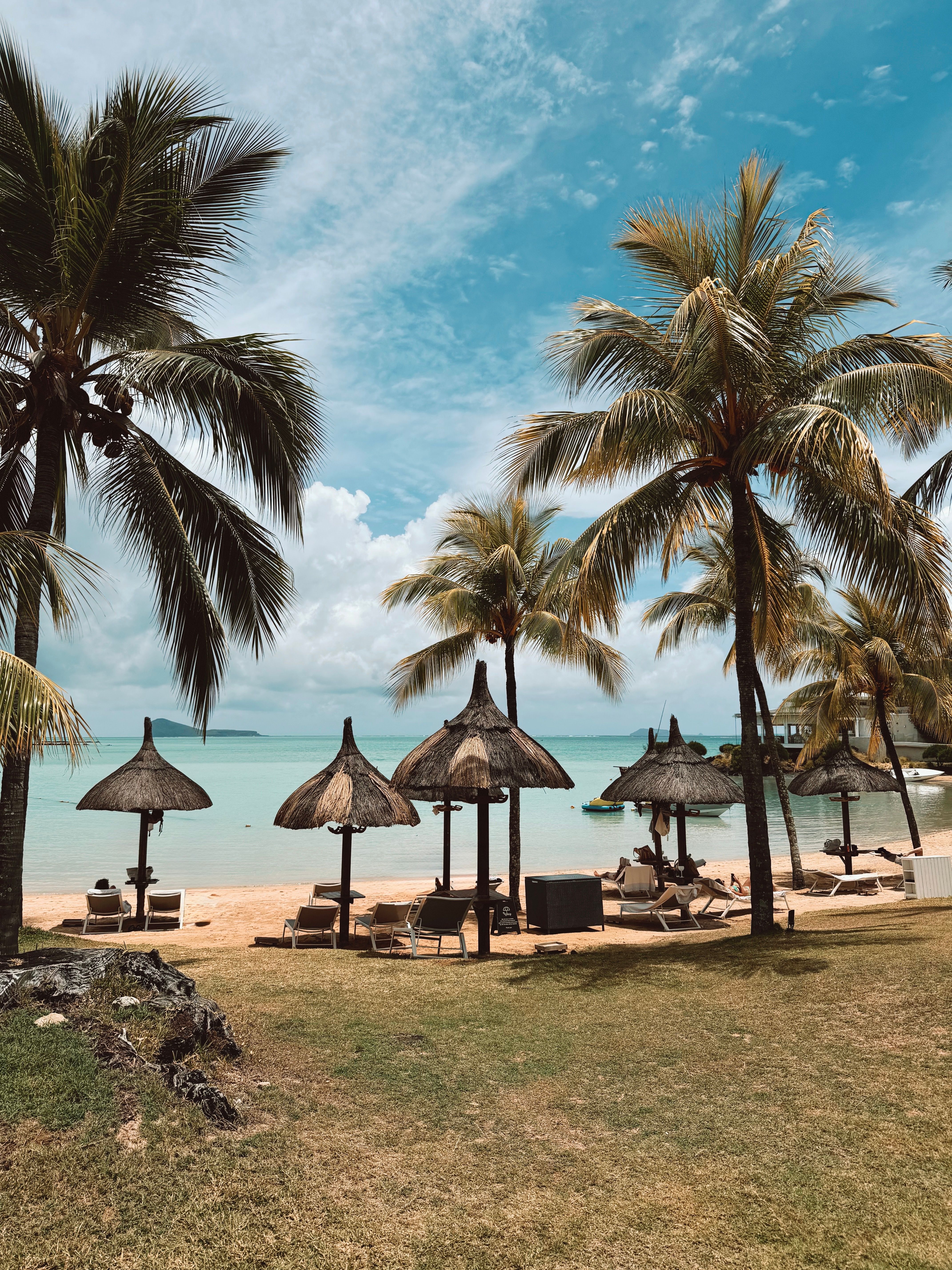 Tropical Beach Resort with Palm Trees and Huts · Free Stock Photo