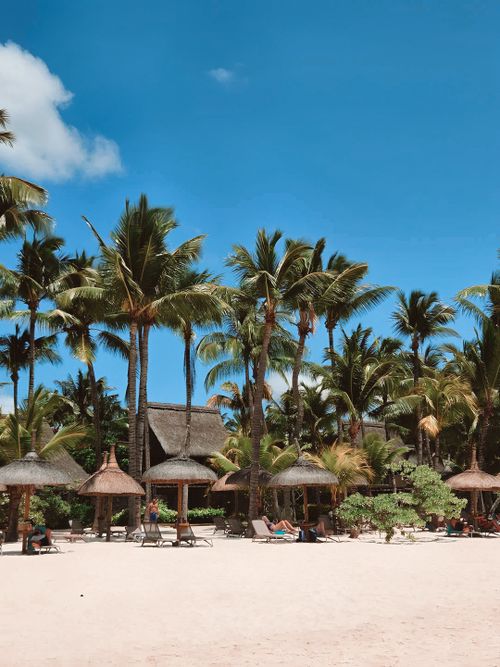 Tropical Beach Scene with Palm Trees under Blue Sky · Free Stock Photo