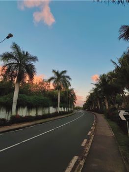 A scenic palm-lined road at sunset with vibrant sky and lush greenery.