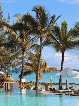 Relaxing tropical scene with palm trees by a serene poolside and ocean backdrop.