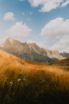 Scenic view of mountains in the French Alps during fall with golden grass.