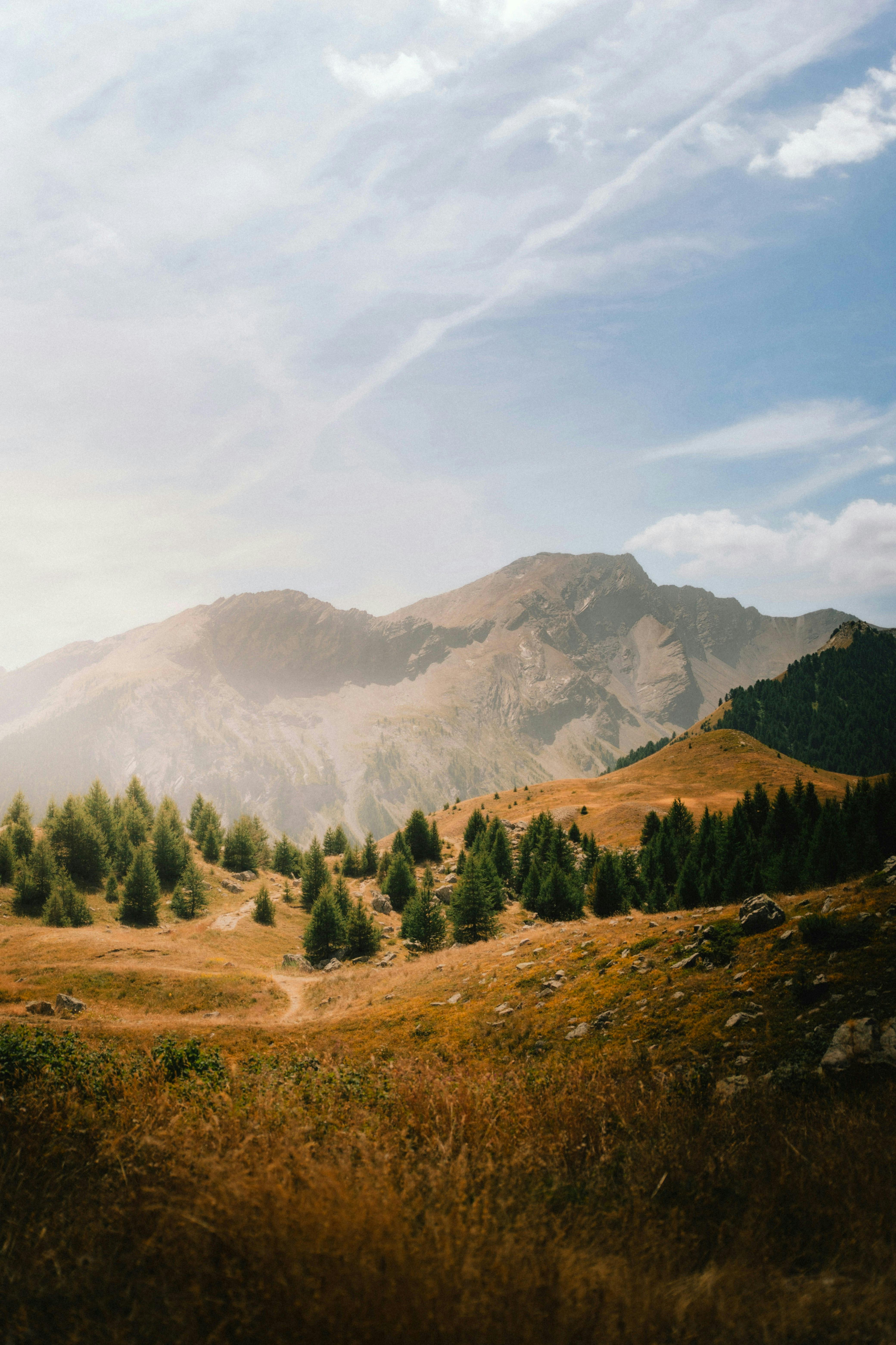 Breathtaking landscape of the French Alps with lush greenery under a clear blue sky.