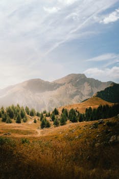 Breathtaking landscape of the French Alps with lush greenery under a clear blue sky.