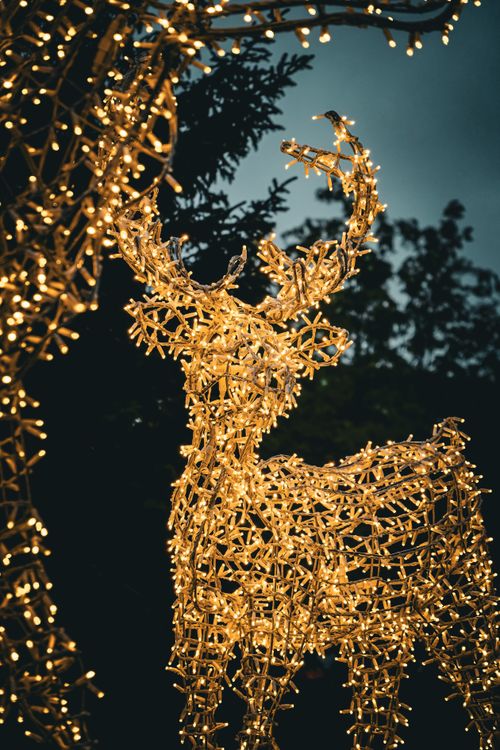 Free Festive reindeer sculpture adorned with glowing LED lights, set against a night sky, perfect for Christmas ambiance. Stock Photo