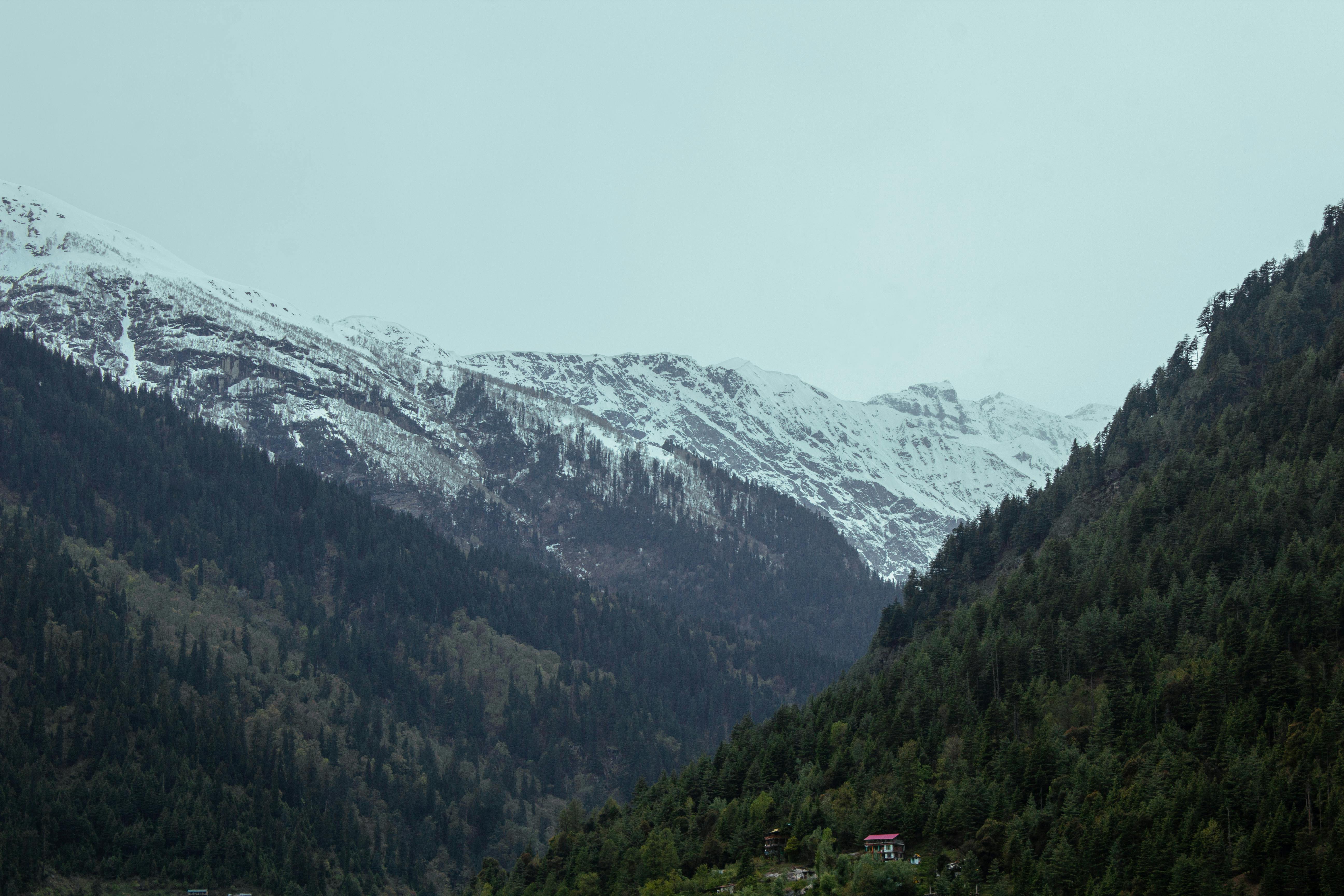 圖輯直擊巴西貝倫COP30大遊行 環保聲浪席捲國際