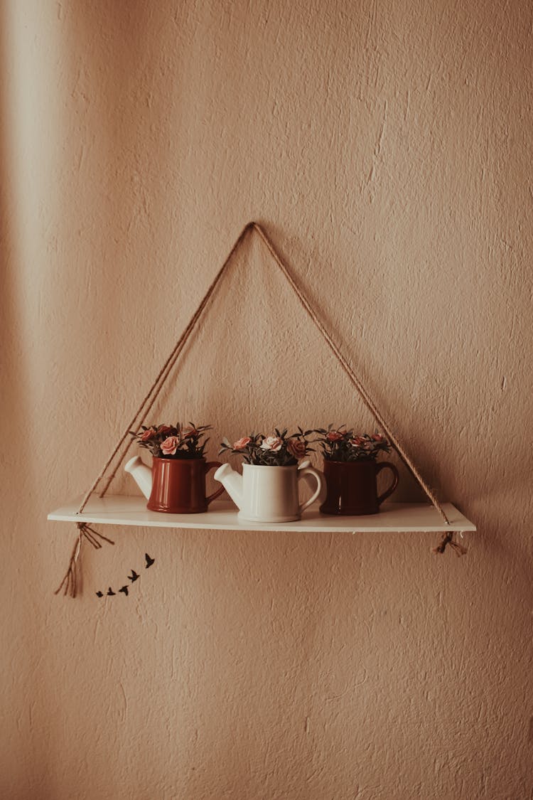 Decorative Plants On Mounted Shelf On Wall