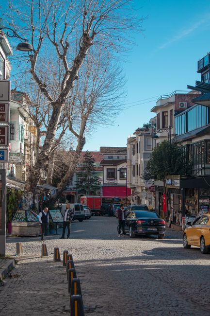 Çamaş Gezi Rehberi