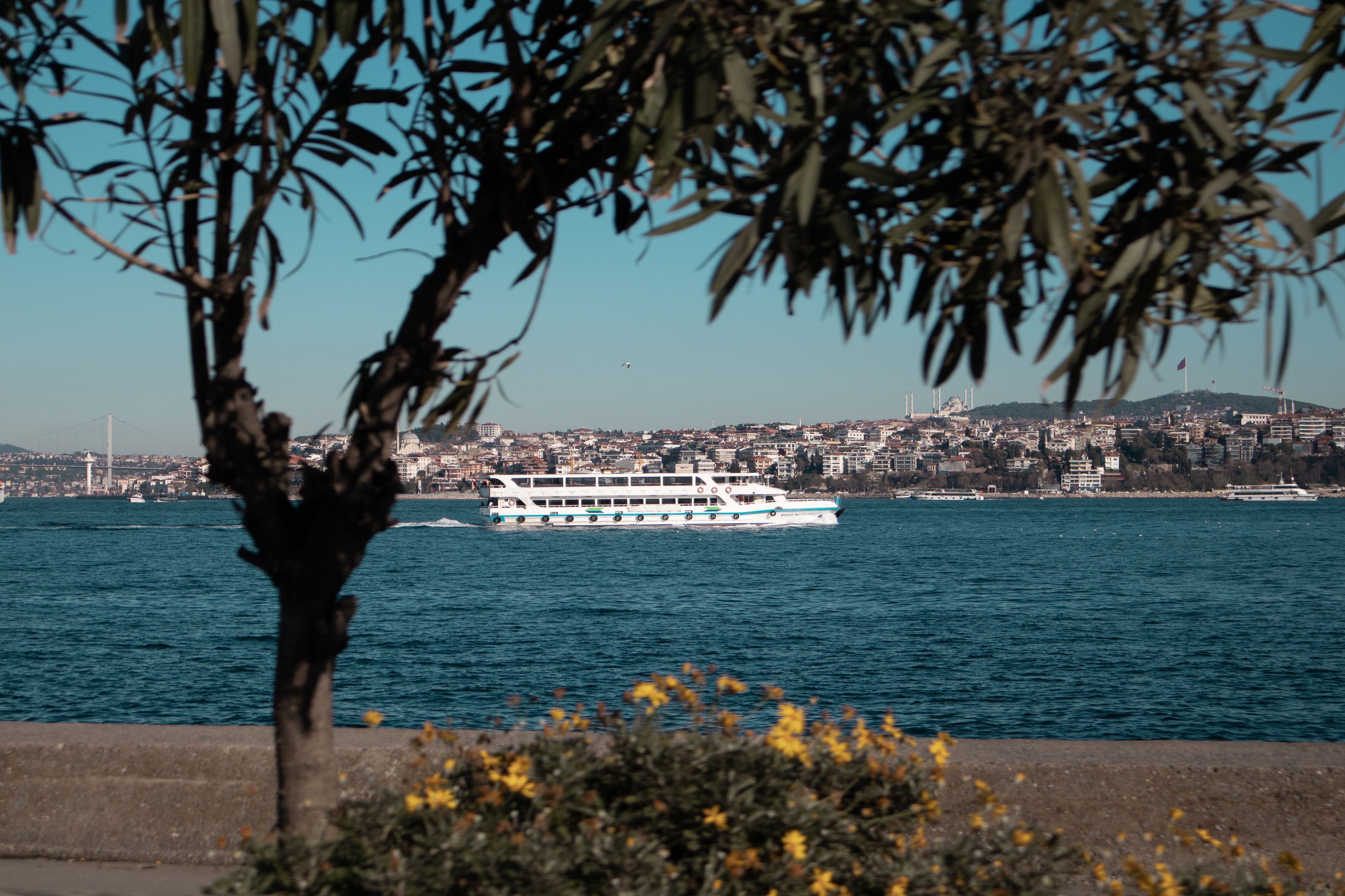 Scenic View of the Bosphorus with Ferry in Istanbul · Free Stock Photo