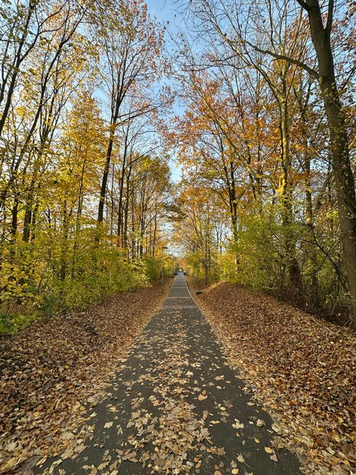 Free A picturesque path surrounded by vibrant fall foliage on a sunny day, perfect for a relaxing walk. Stock Photo