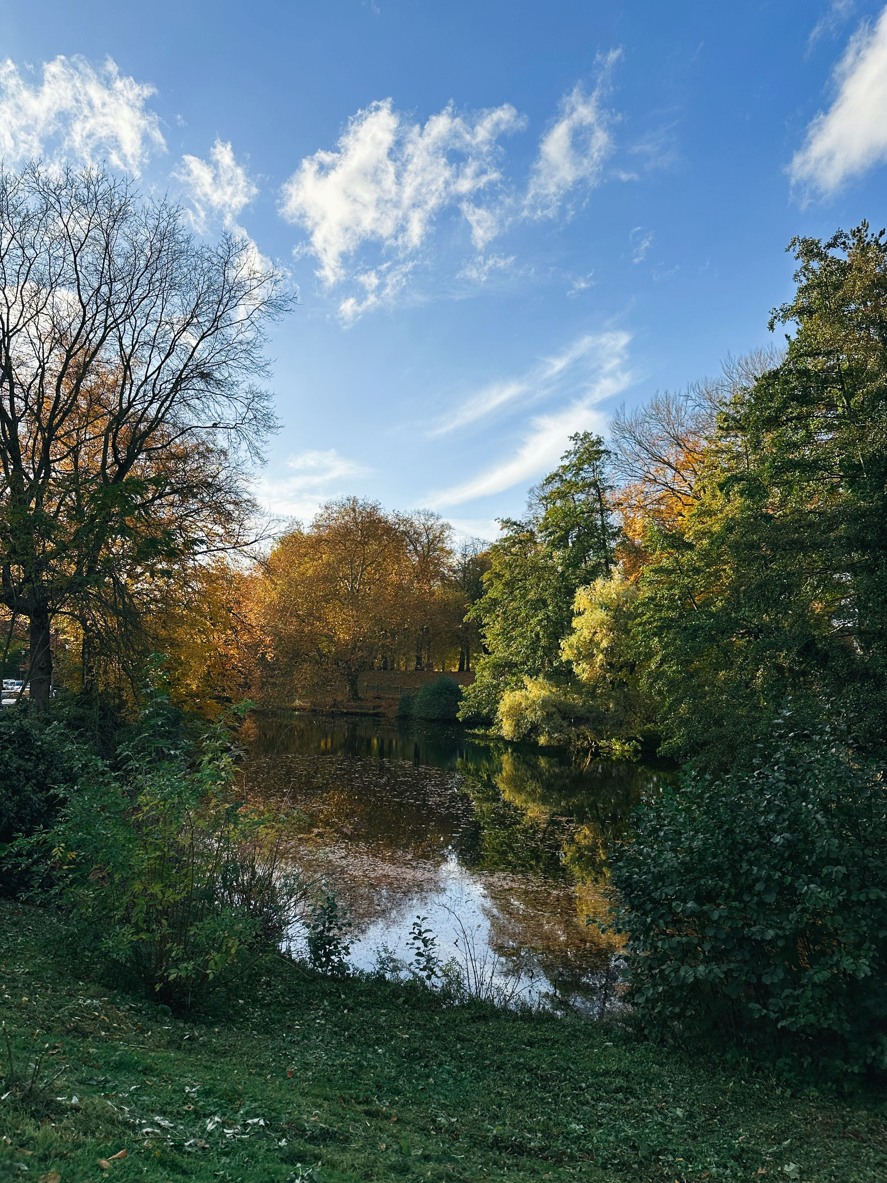 Serene Autumn Landscape with Tranquil Pond · Free Stock Photo