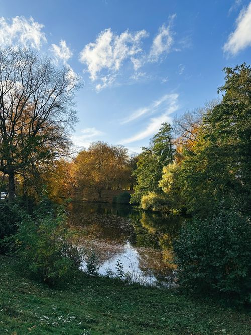 Free Peaceful autumn scene featuring a tranquil pond surrounded by vibrant fall foliage. Stock Photo