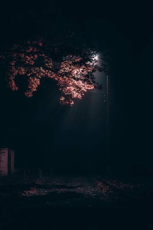 Poste De Luz De Rua Aceso Durante A Noite