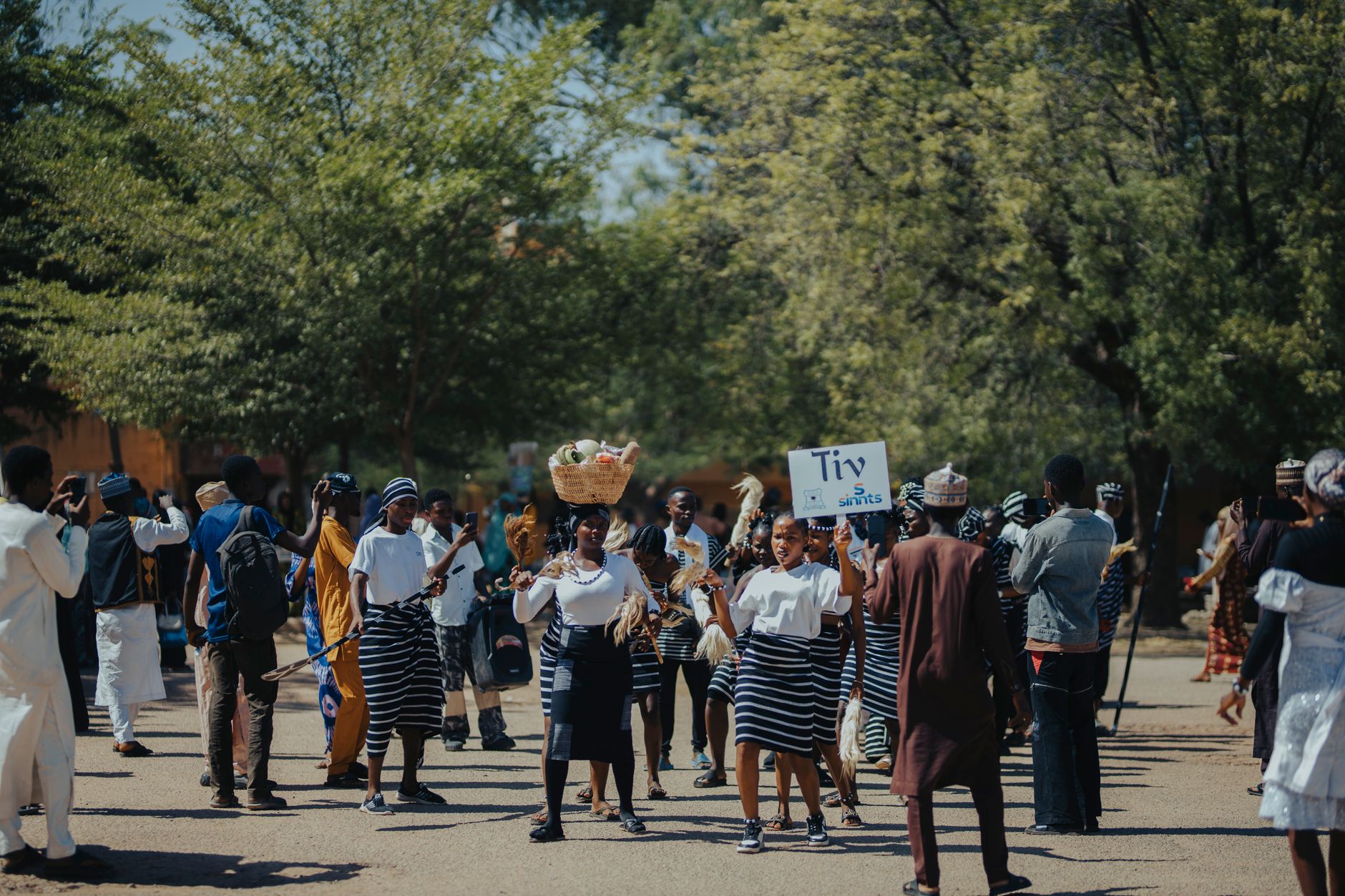Group participates in a vibrant traditional festival outdoors celebrating African culture.