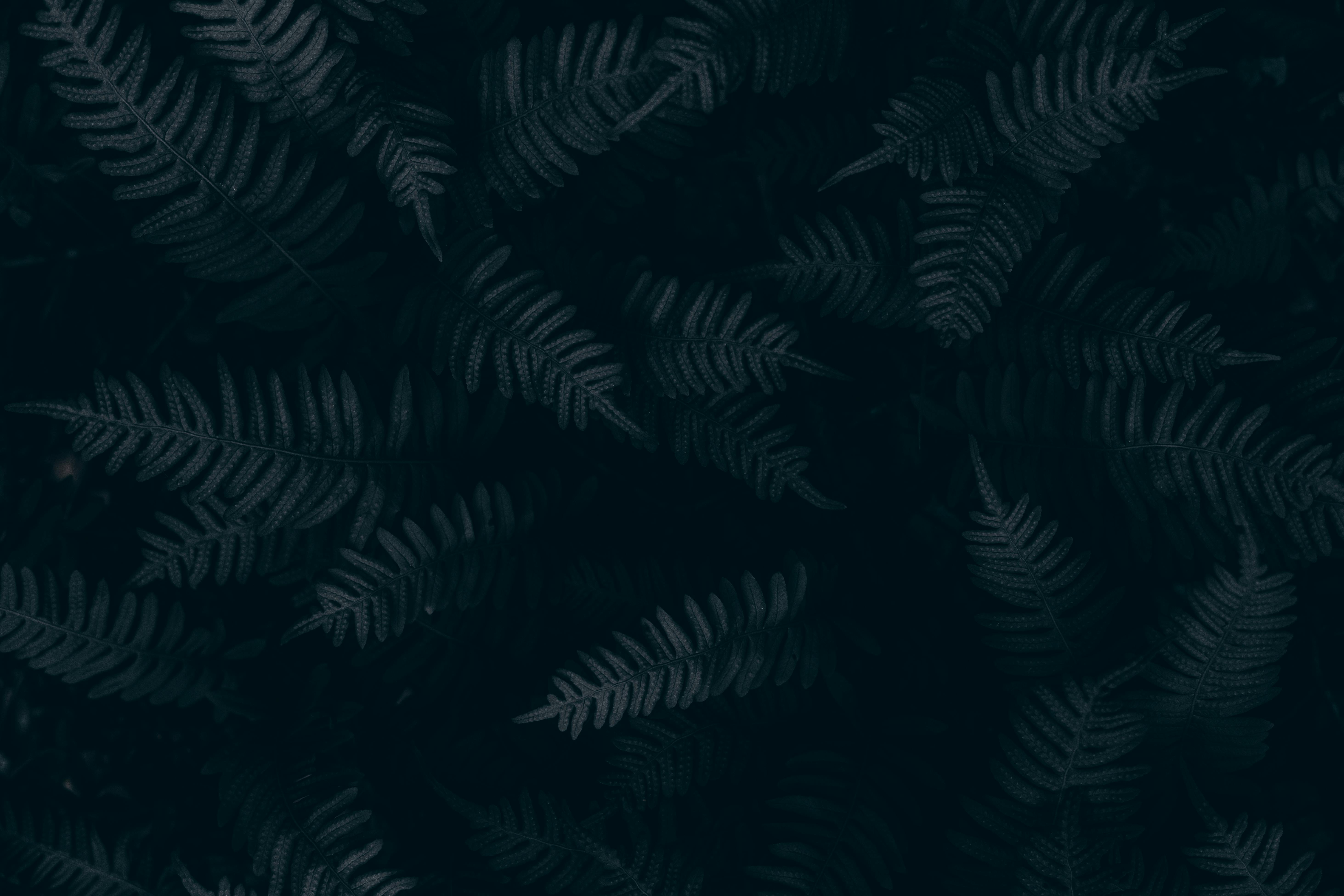 black graphic wallpaper