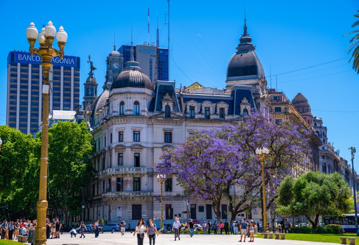 Street view of Plaza de Mayo with iconic buildings and jacaranda trees in Buenos Aires, Argentina.