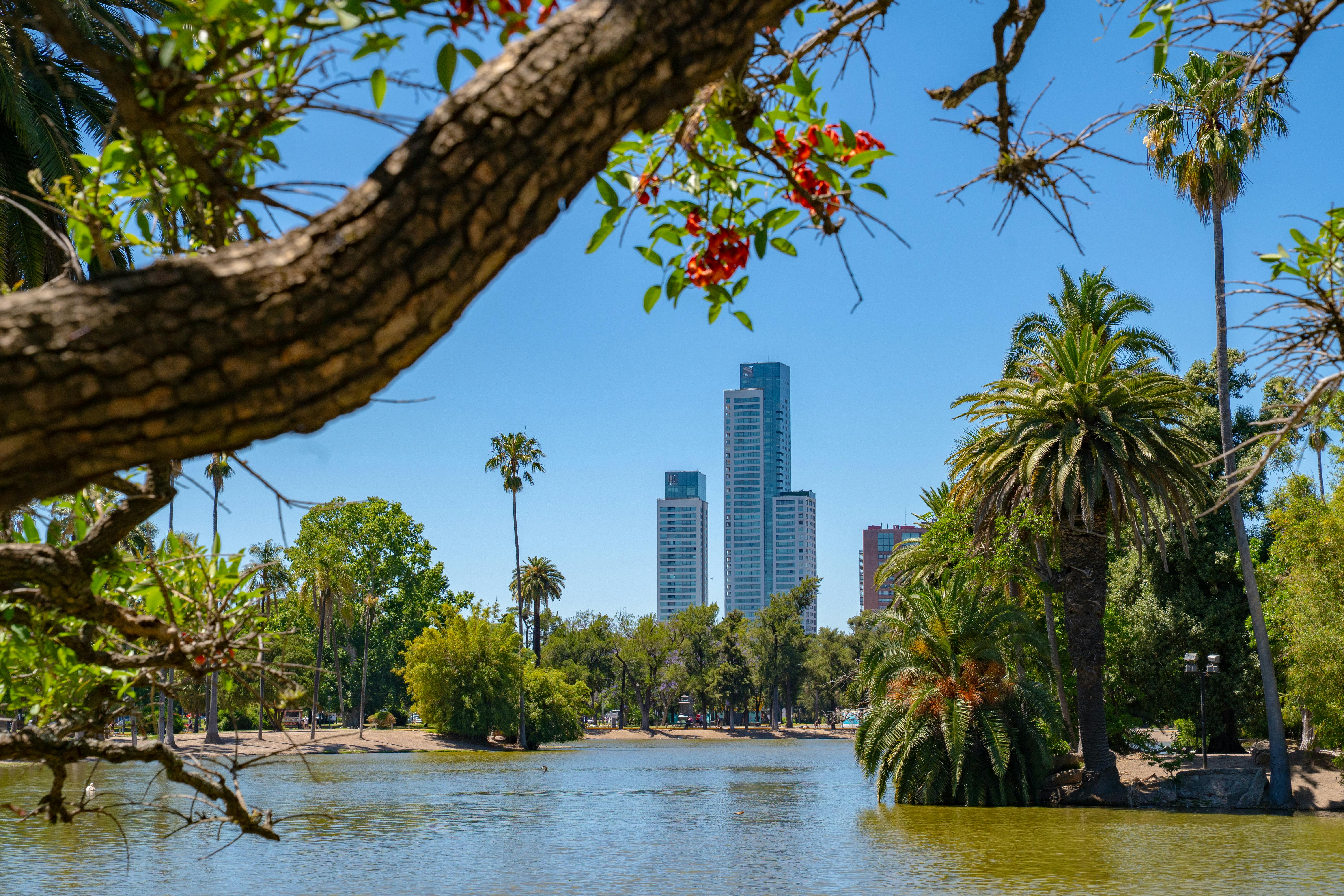 高雄從港灣到湖畔的蛻變：科技、運動與生活交織的新城市藍圖