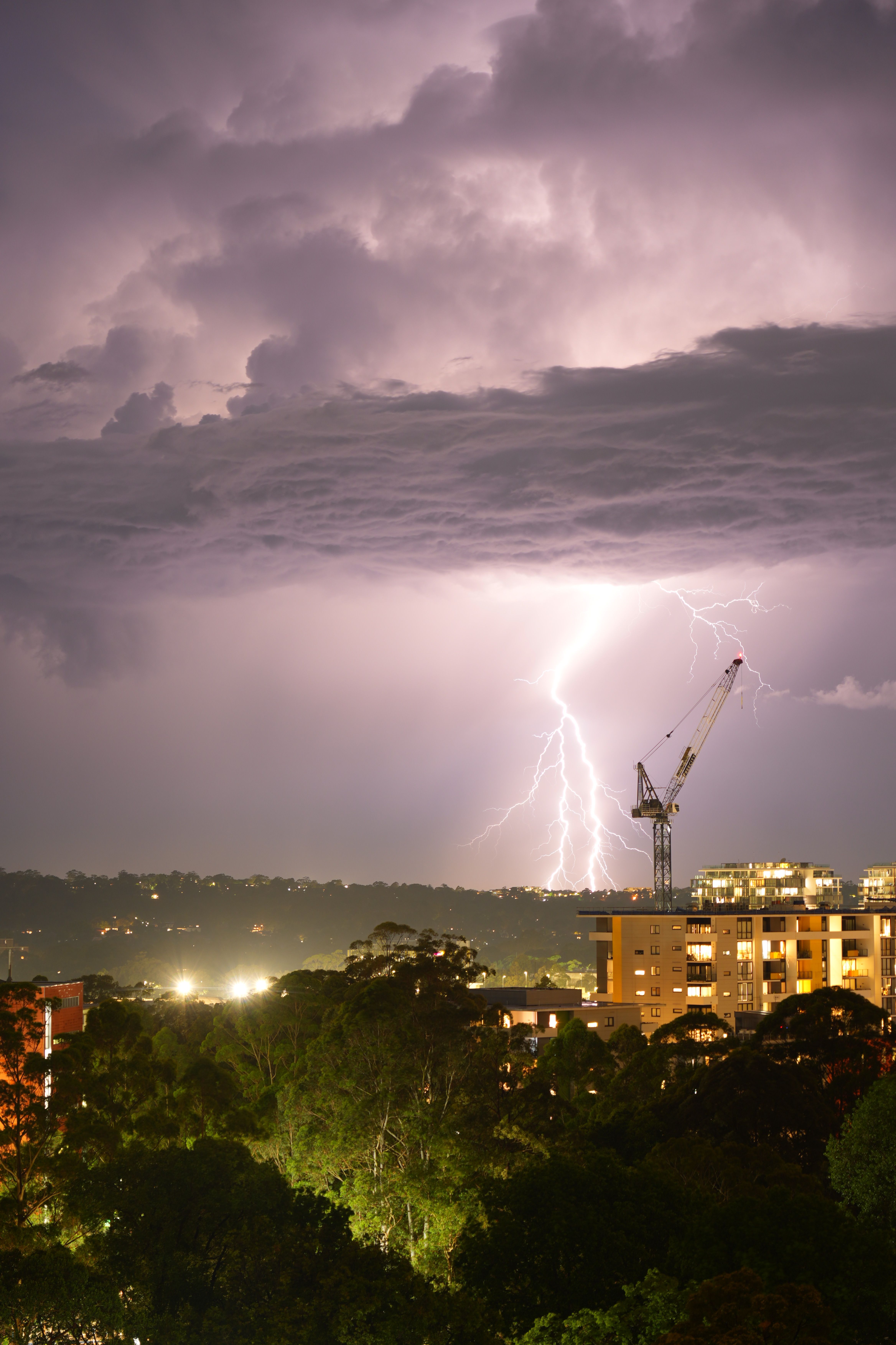 1.000+ Lightning+mcqueen++pfp Bilder und Fotos · Kostenlos Downloaden ...