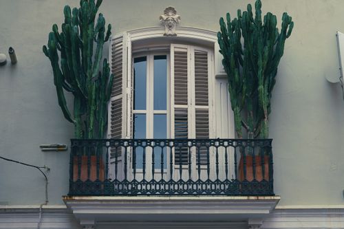 Free A beautifully crafted balcony with tall potted cacti beside a white shuttered window in a city setting. Stock Photo