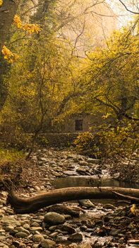 Image by Hoor Shah