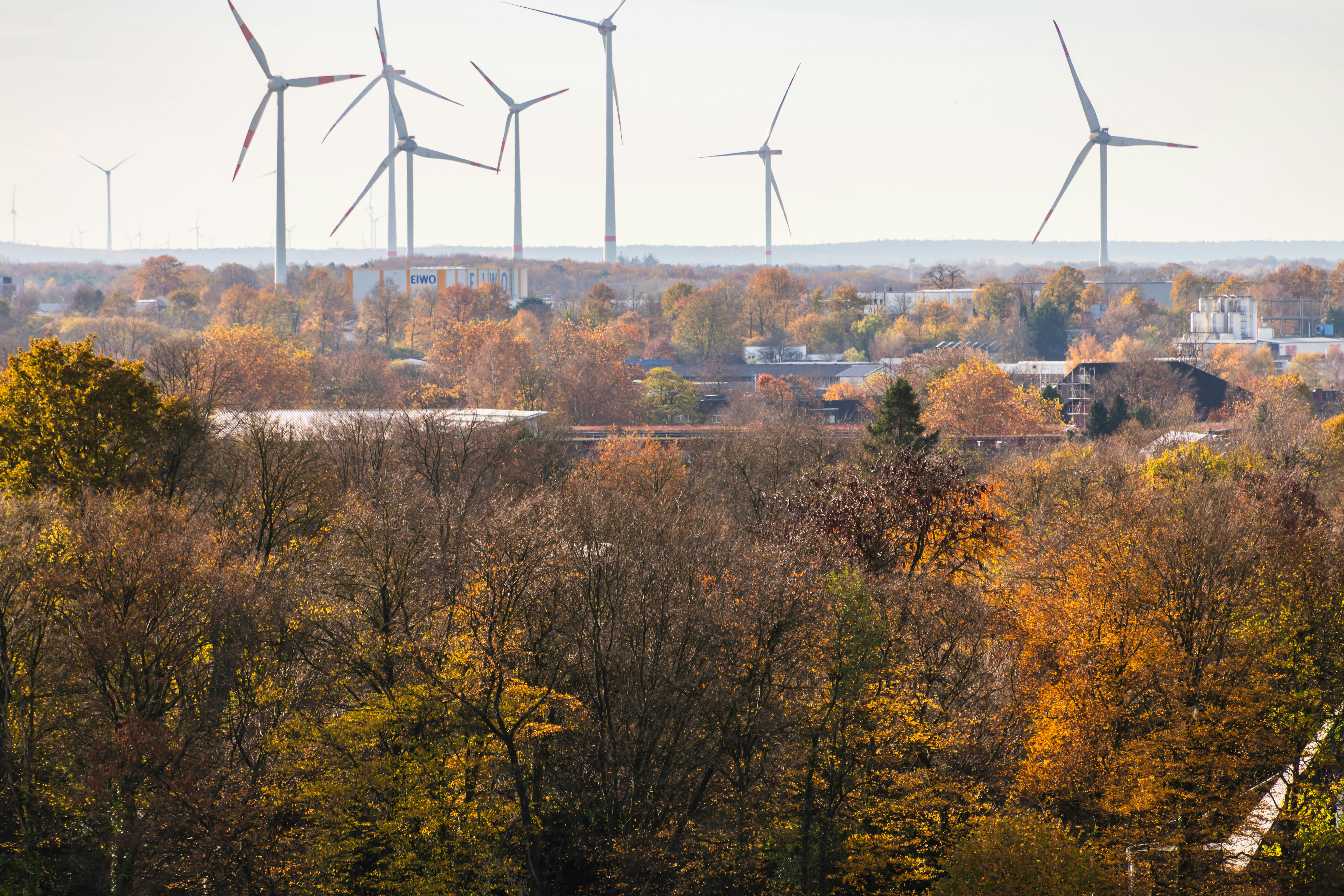 Exploring the Quantum Consciousness Theory: Bridging Mind and Matter