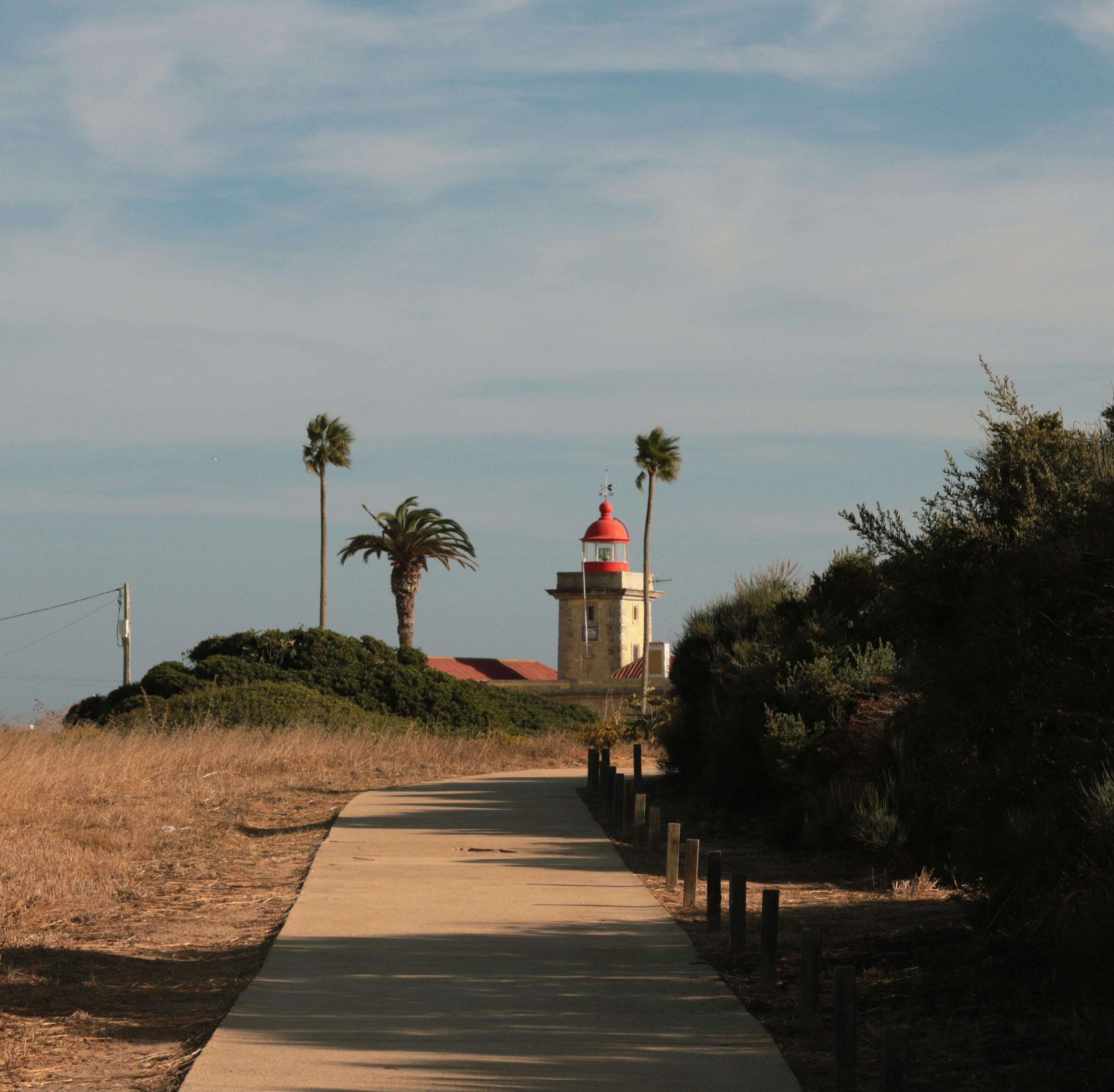 A tranquil scene featuring a lighthouse under clear skies with palm trees and a coastal pathway.