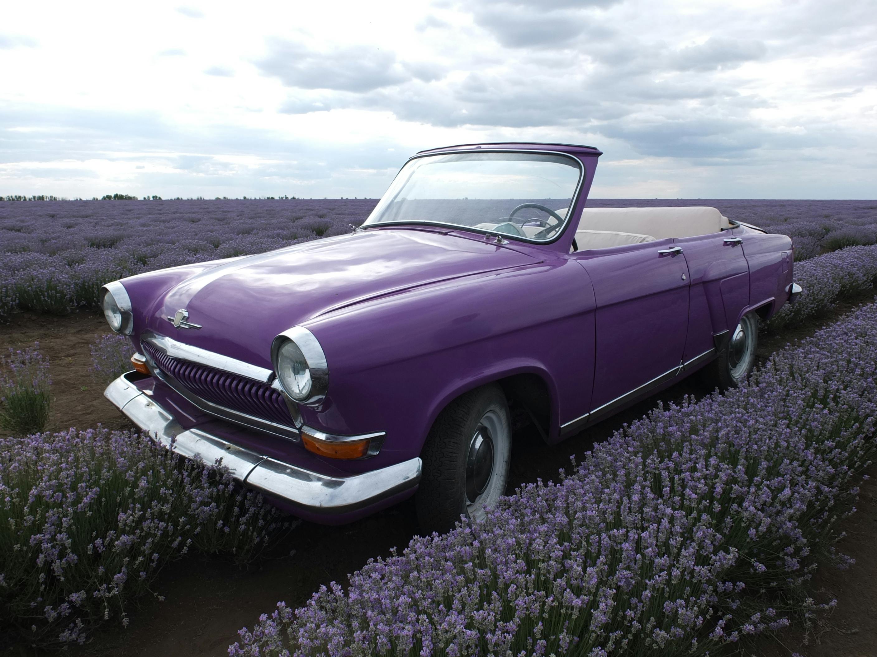 曾寶儀捐贈愛心車輛 助花蓮長者安心生活