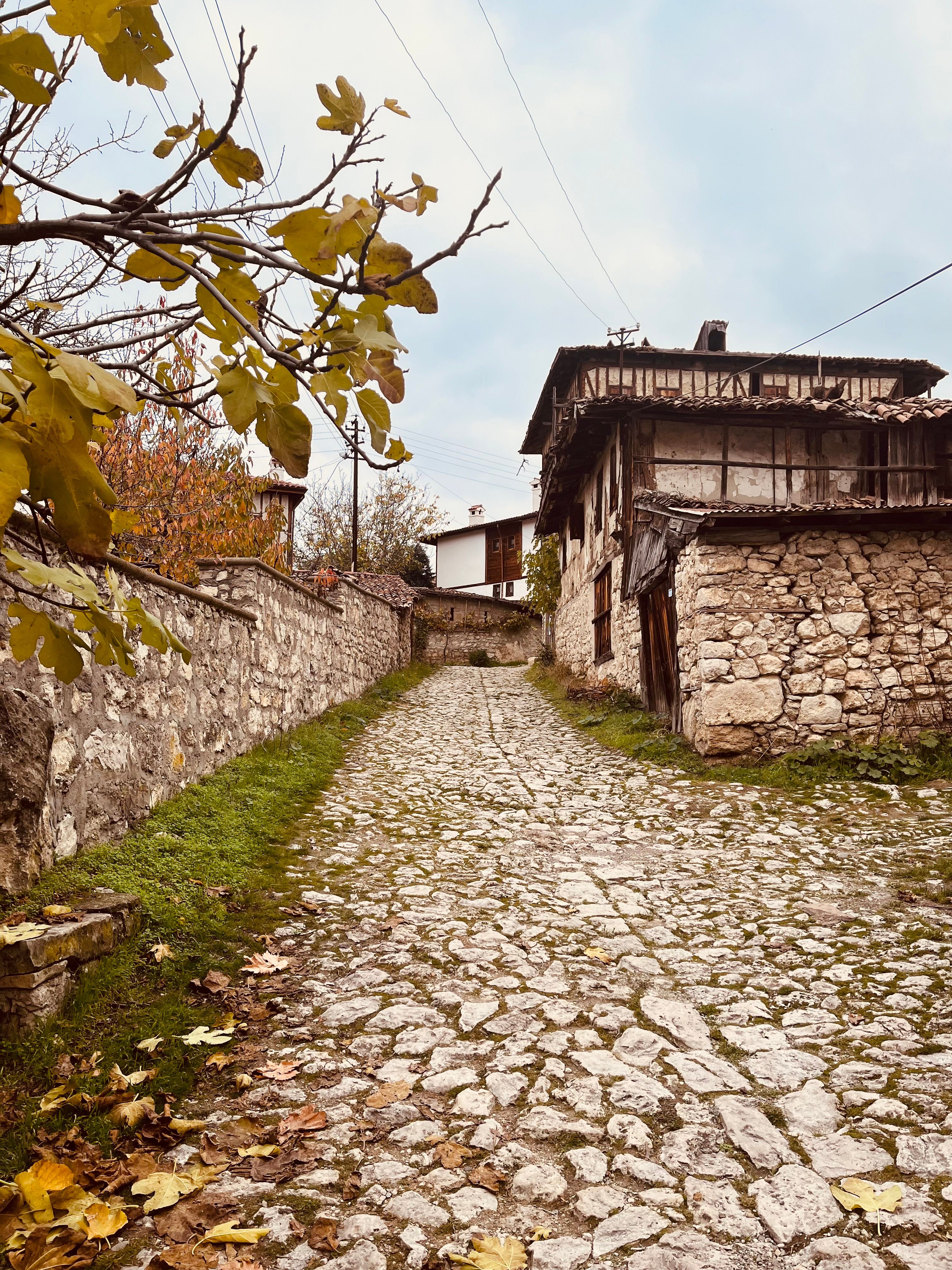 Charming Cobblestone Pathway in Rustic Village · Free Stock Photo