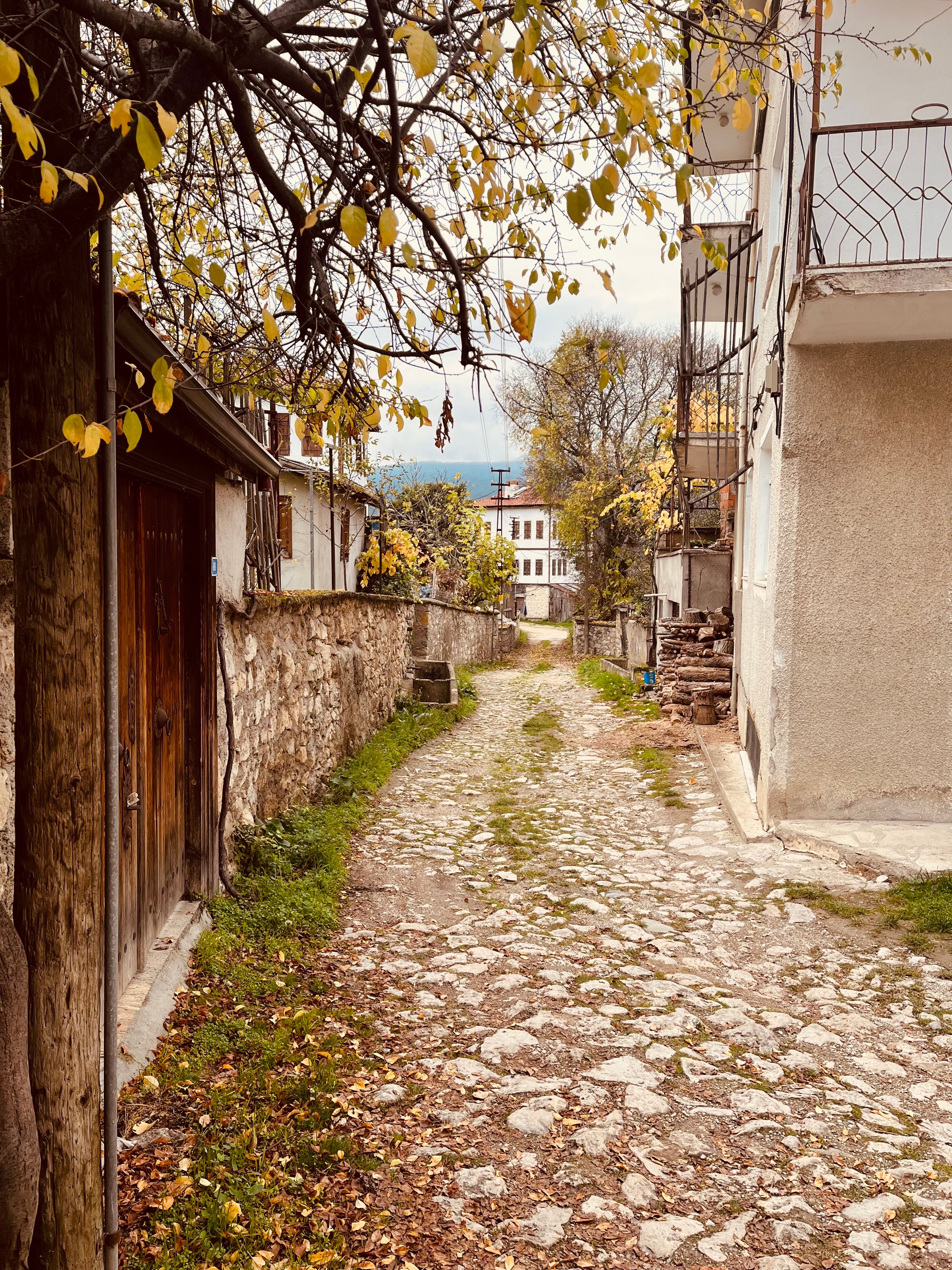 Charming Cobblestone Alley in Autumn Setting · Free Stock Photo