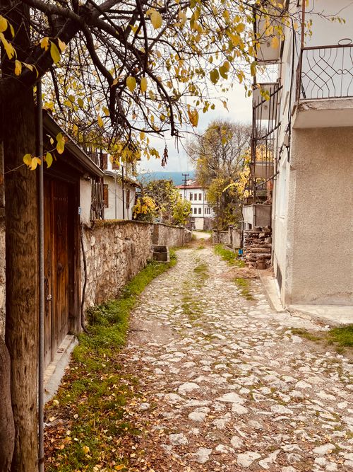 Free Picturesque cobblestone alley with autumn leaves creating a warm, inviting scene. Stock Photo