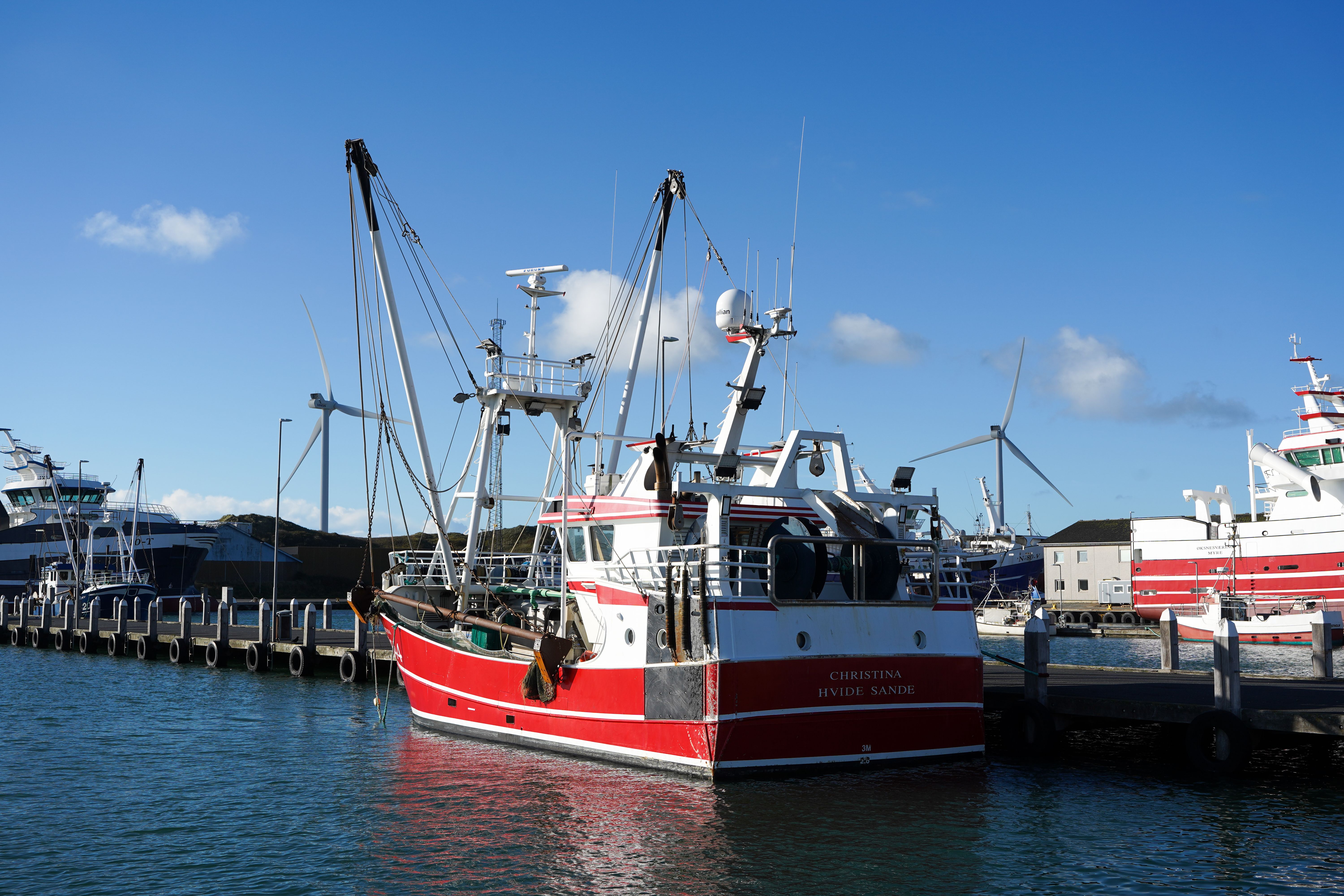 Fishing Boats Docked in Hvide Sande Harbor · Free Stock Photo