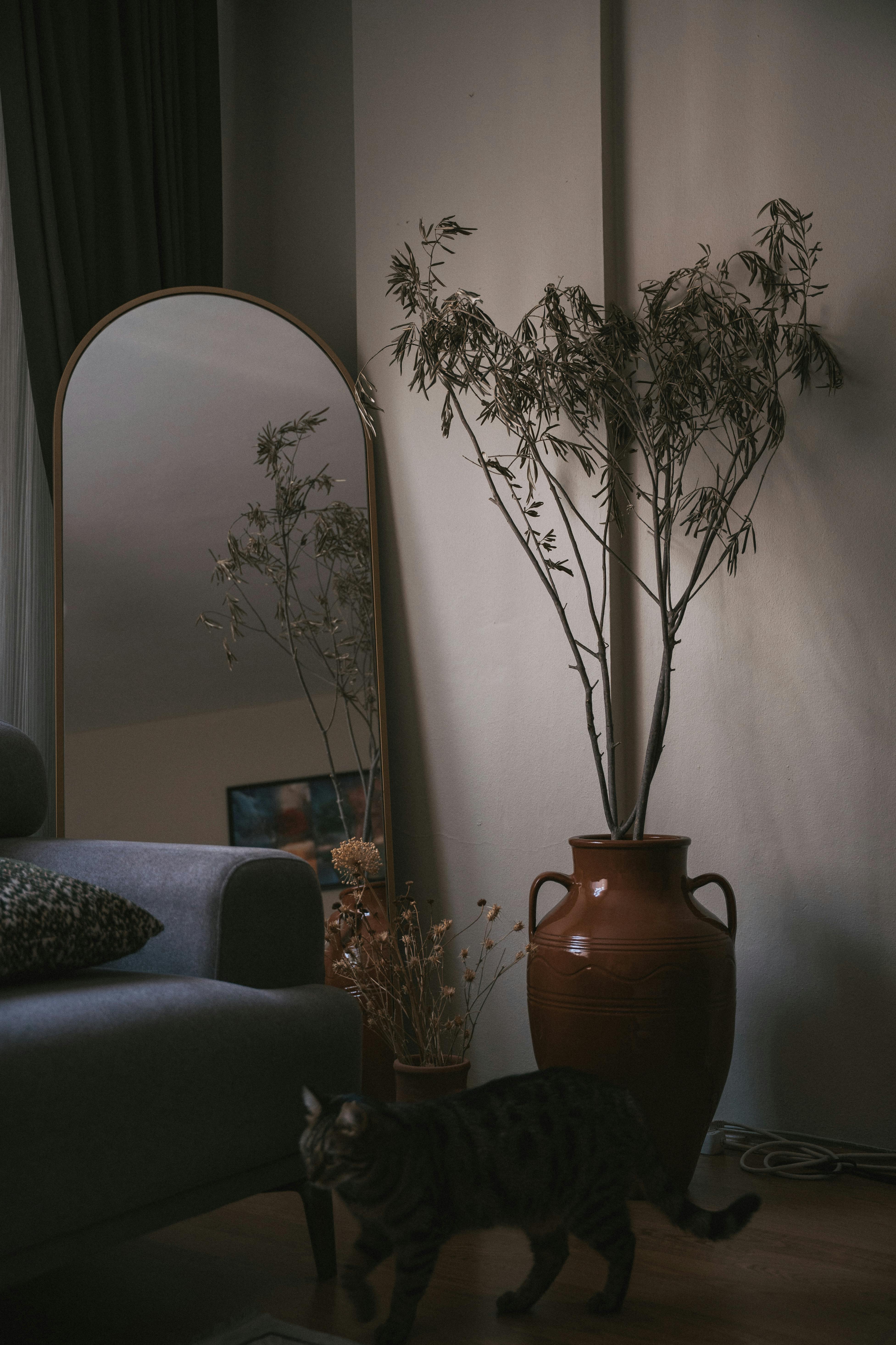 Elegant living room with a cat, large mirror, and decorative plants in Istanbul.