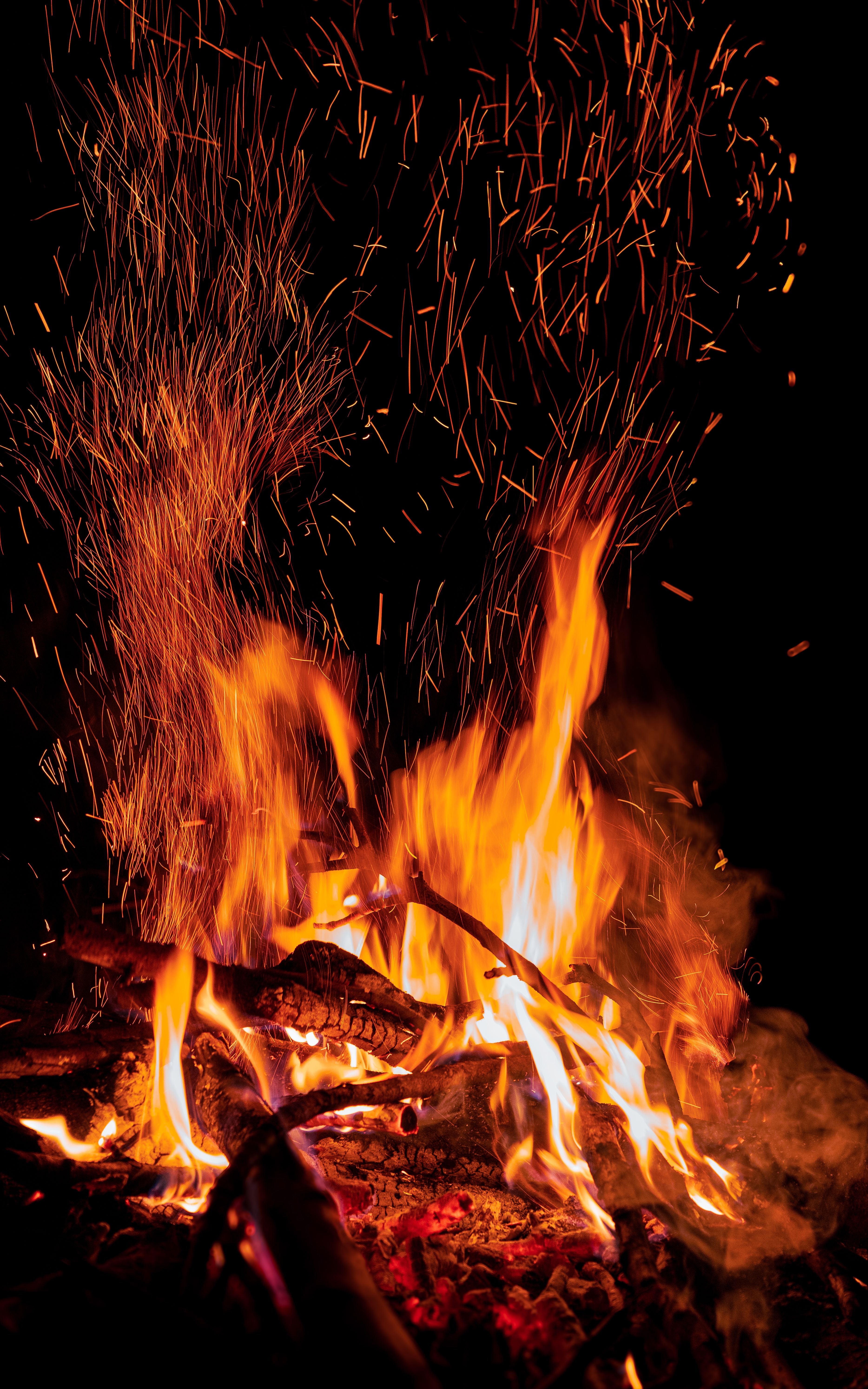 Vibrant Bonfire Flames Lighting Up Night · Free Stock Photo