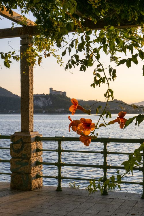 Sunset View with Flowers and Lake Maggiore · Free Stock Photo