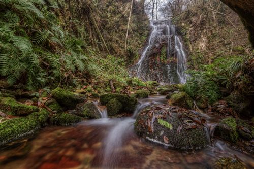 Free A tranquil waterfall flowing over mossy rocks in a lush forest setting during winter. Stock Photo