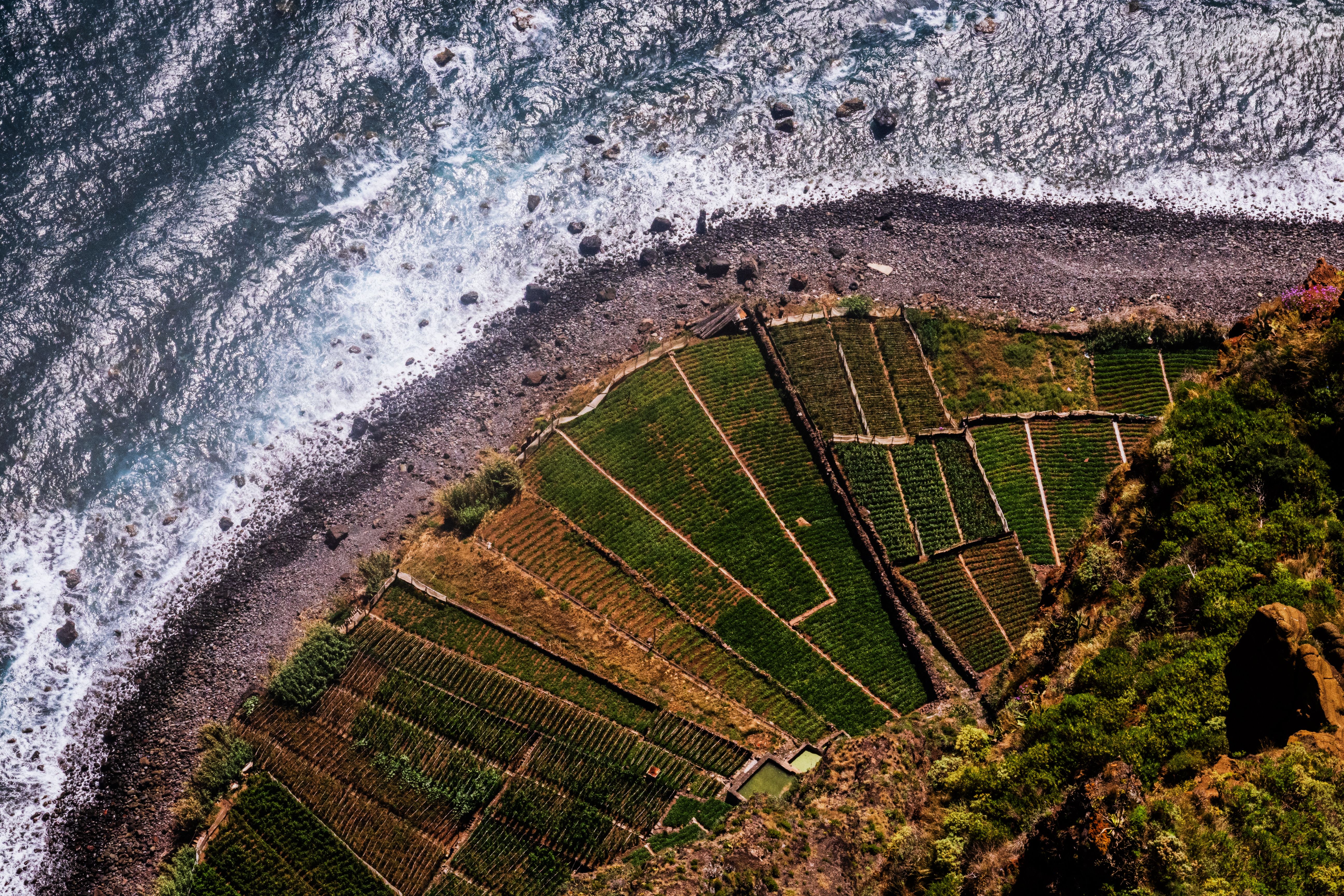 Aerial View of Coastal Terraced Fields · Free Stock Photo